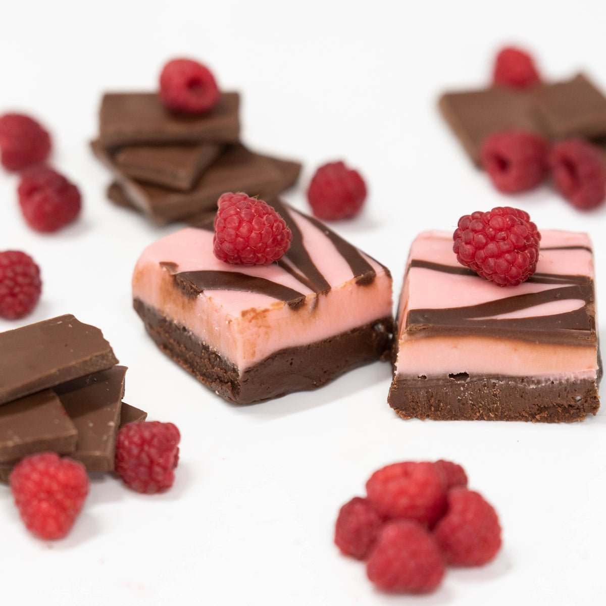 4 oz Raspberry Chocolate Swirl Fudge Bar